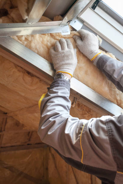 Best Insulation for Specific Applications in South Lake Tahoe, CA